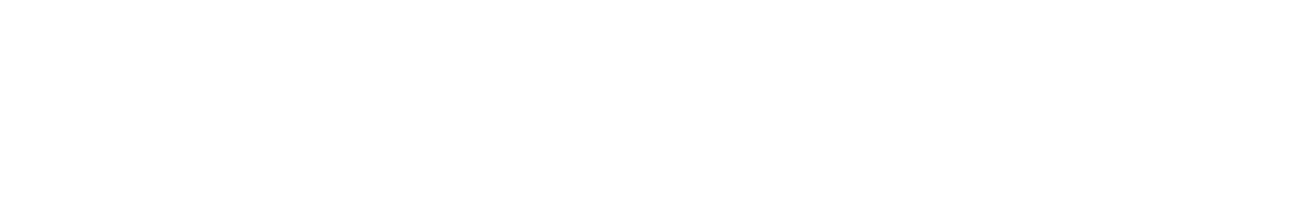 Logo databricks (white)