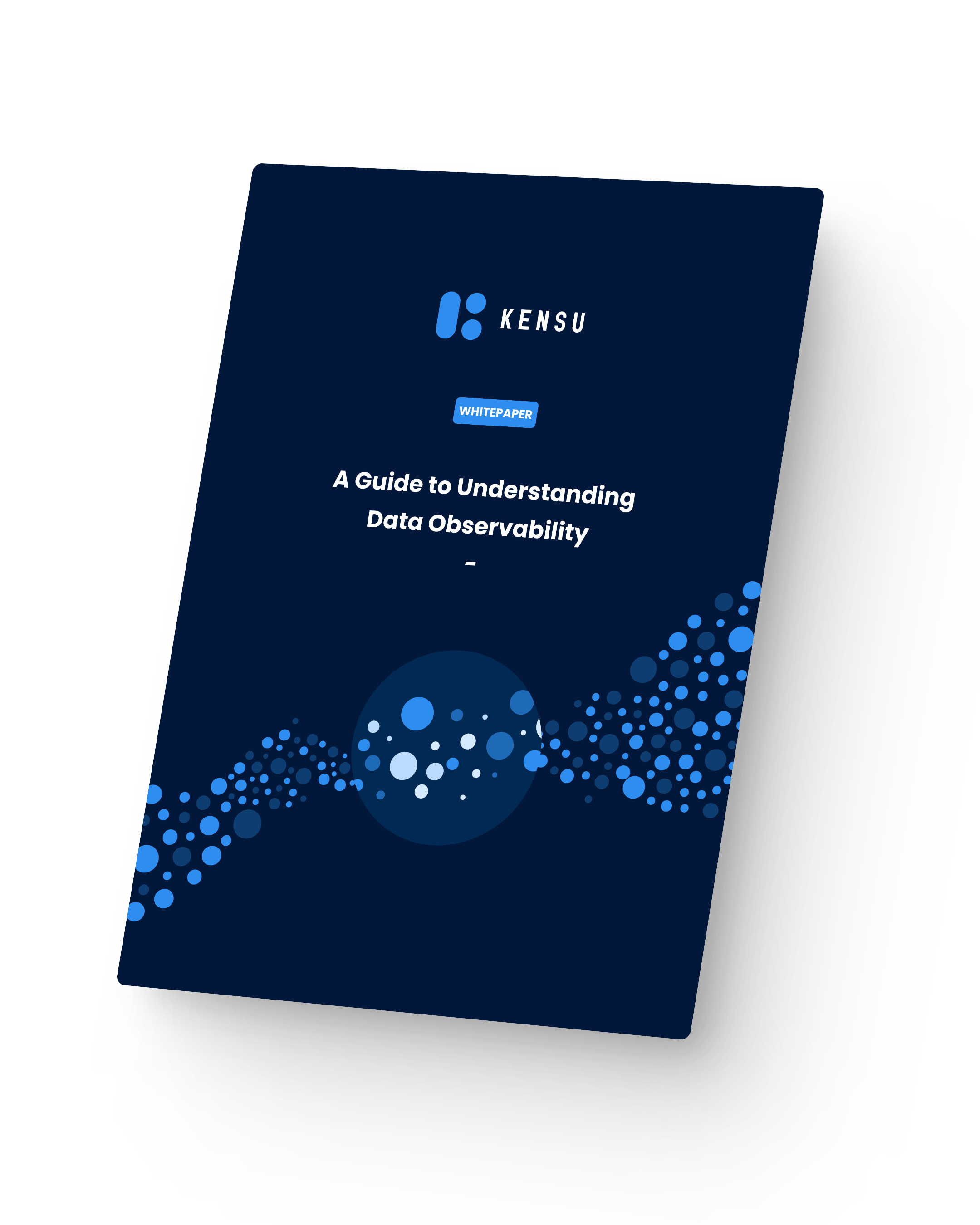 White paper - A Guide to Understanding Data Observability v2.4