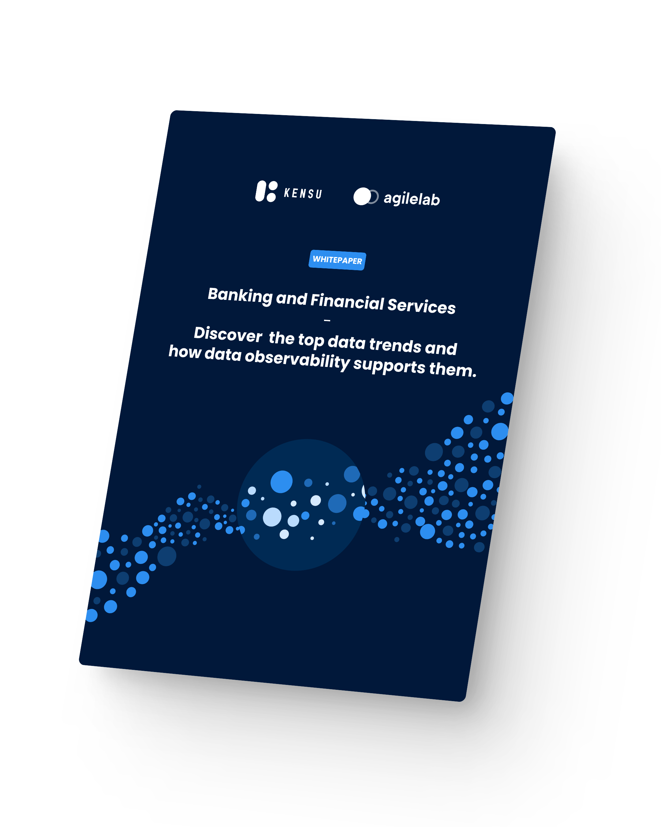White paper - Banking and Financial Services v2.6