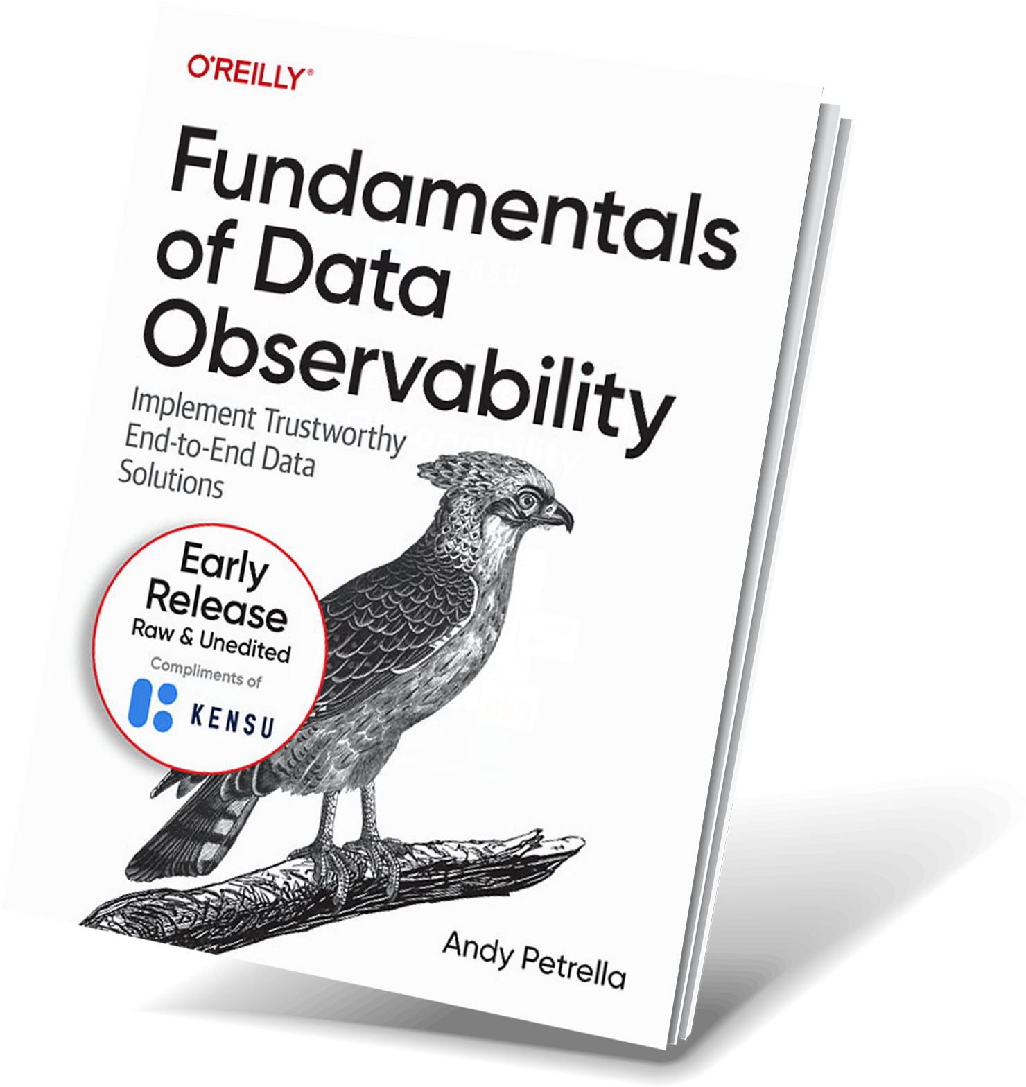 Fundamentals of DO - final cover