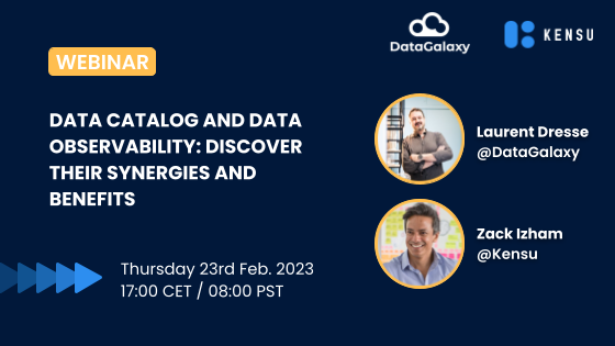 webinar DataGalaxy EN - at the source page