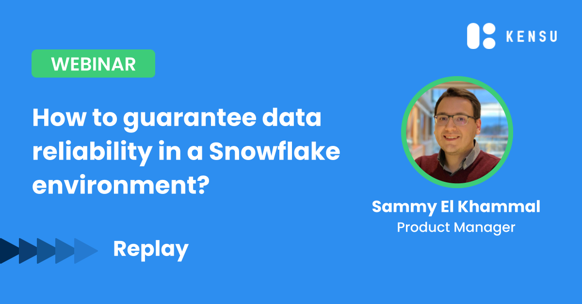 Webinar DO in practice - Snowflake replay visual