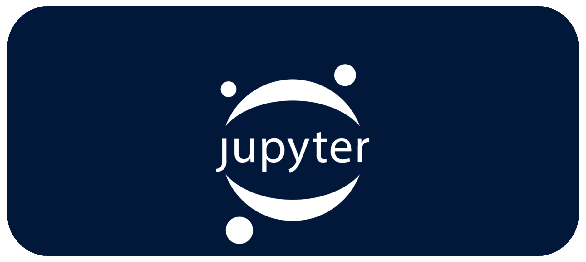 Logo White Jupyter