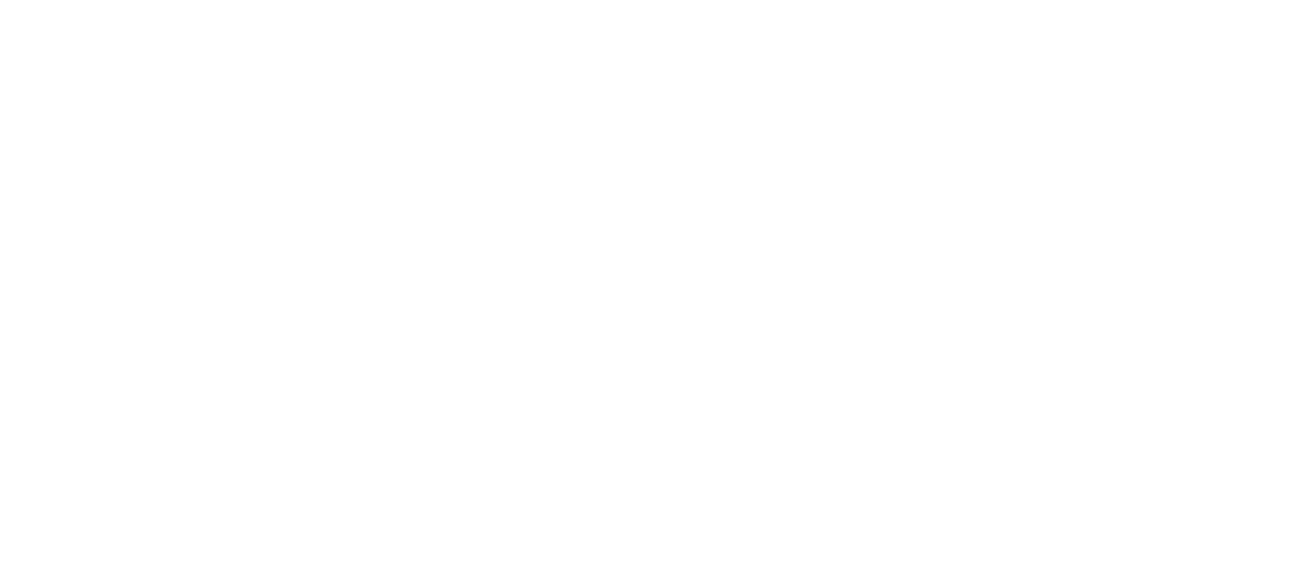 DataGalaxy white logo horizontal